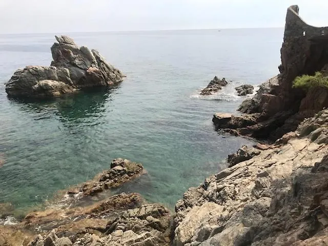 T2 Climatise + Parking 500 M Plage/Centre Ville Lloret de Mar Apartament