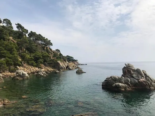 T2 Climatise + Parking 500 M Plage/Centre Ville Lloret de Mar Spain