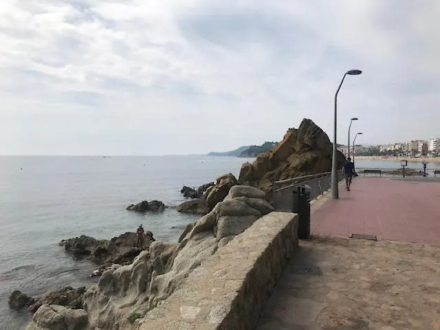 T2 Climatise + Parking 500 M Plage/Centre Ville Lloret de Mar 0*,  Spain