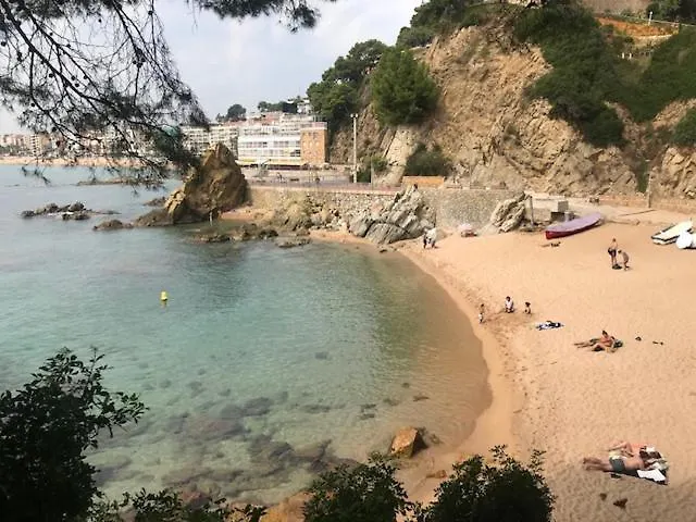 Apartment T2 Climatise + Parking 500 M Plage/Centre Ville Lloret de Mar Spain
